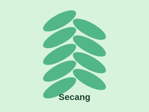 Foto Secang