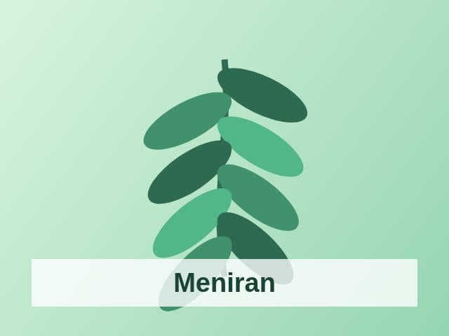 Foto Meniran