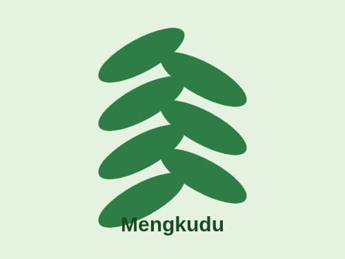Foto Mengkudu