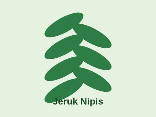 Foto Jeruk Nipis
