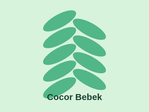 Foto Cocor Bebek