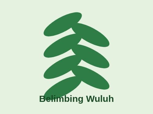 Foto Belimbing Wuluh
