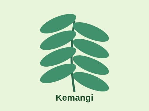 Foto Kemangi