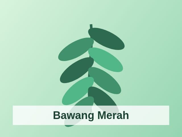 Foto Bawang Merah