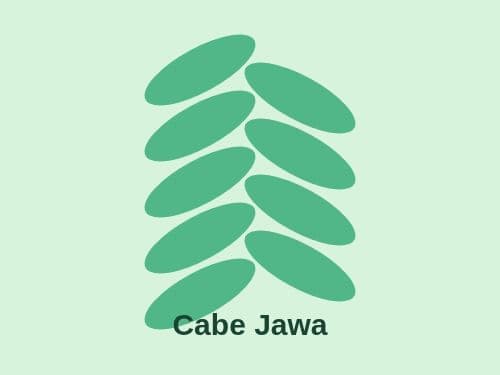 Foto Cabe Jawa